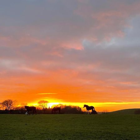 Glamping Mi Casa Tu Casadk Hotel Vissenbjerg Bagian luar foto