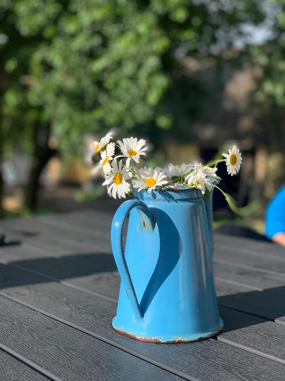 Glamping Mi Casa Tu Casadk Hotel Vissenbjerg Bagian luar foto